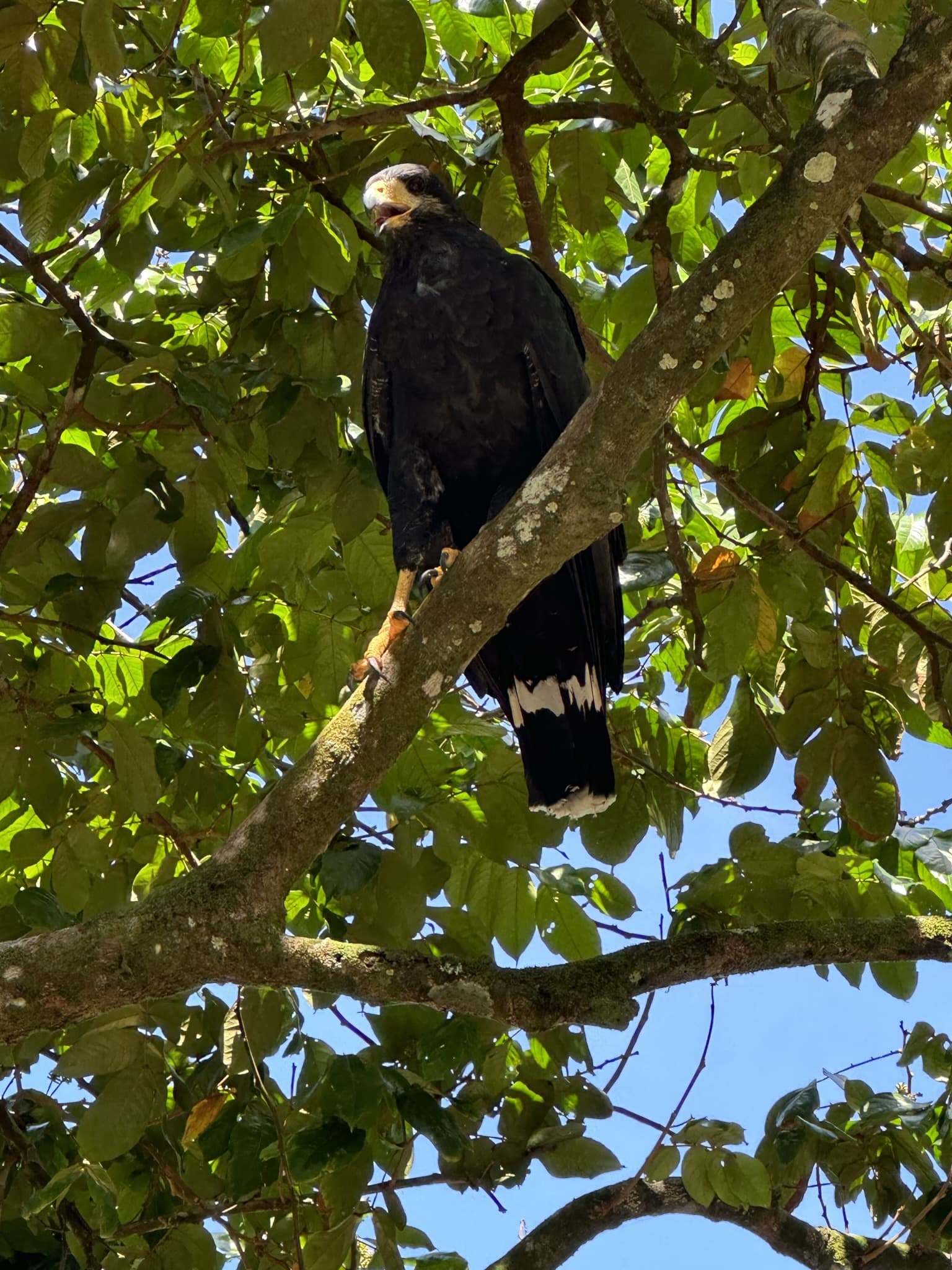 National Park Day Walk — photo 4
