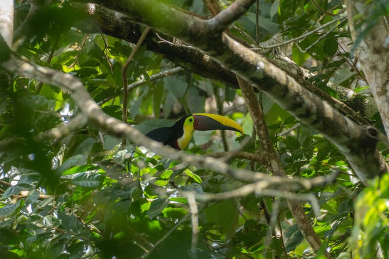 Boat Tour national park — photo 4