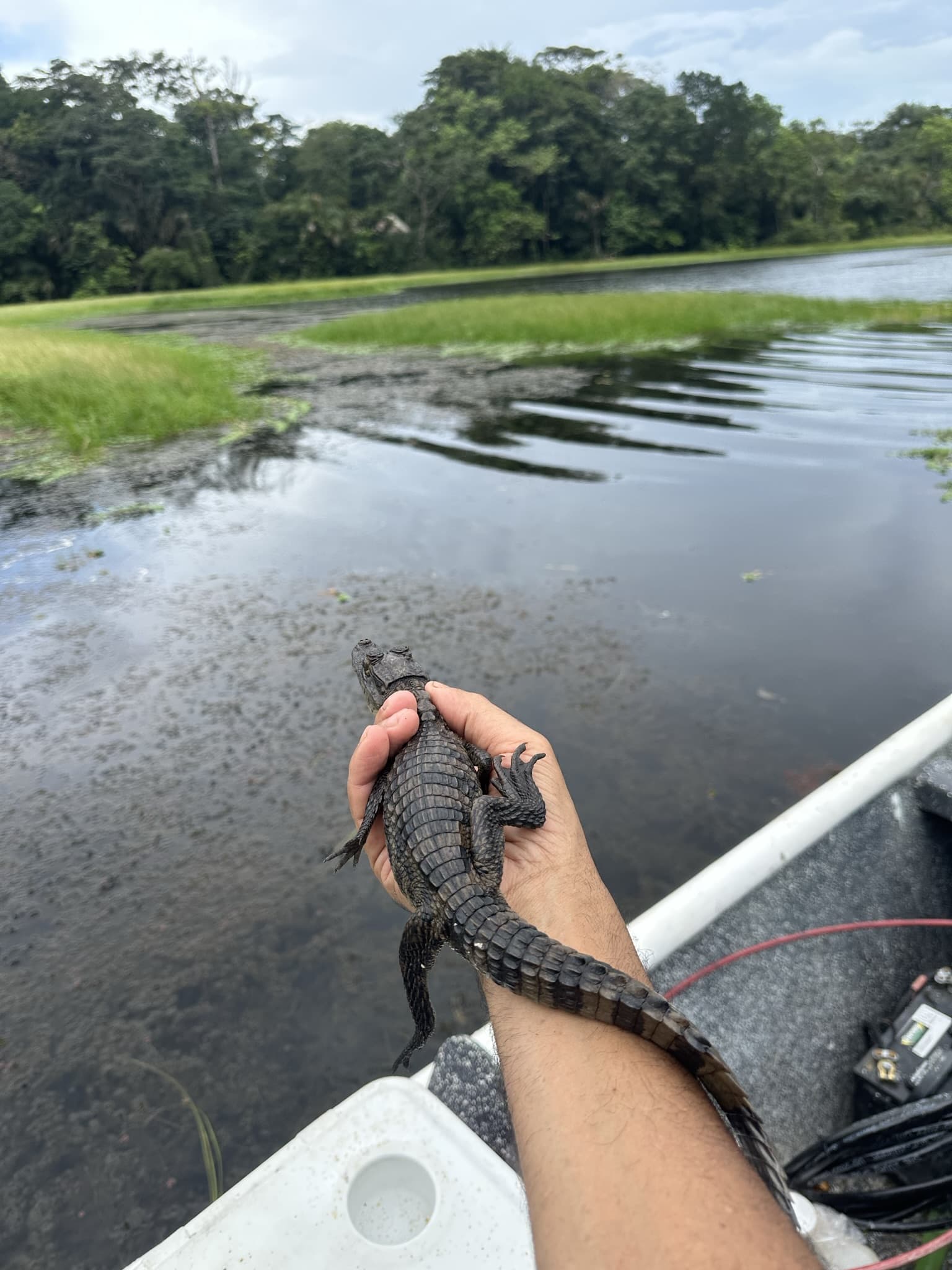 Guest with catch