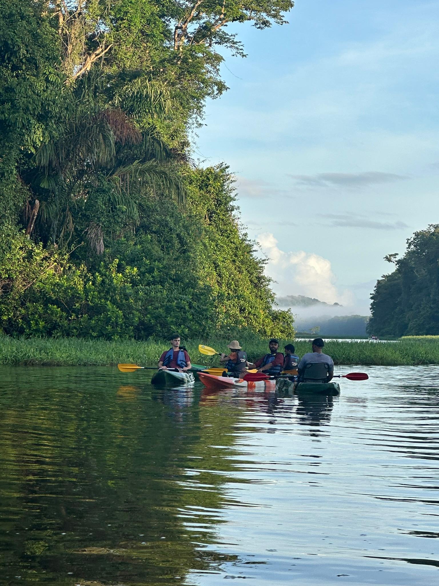 Tortuguero nature tour — tropical rainforest exploration