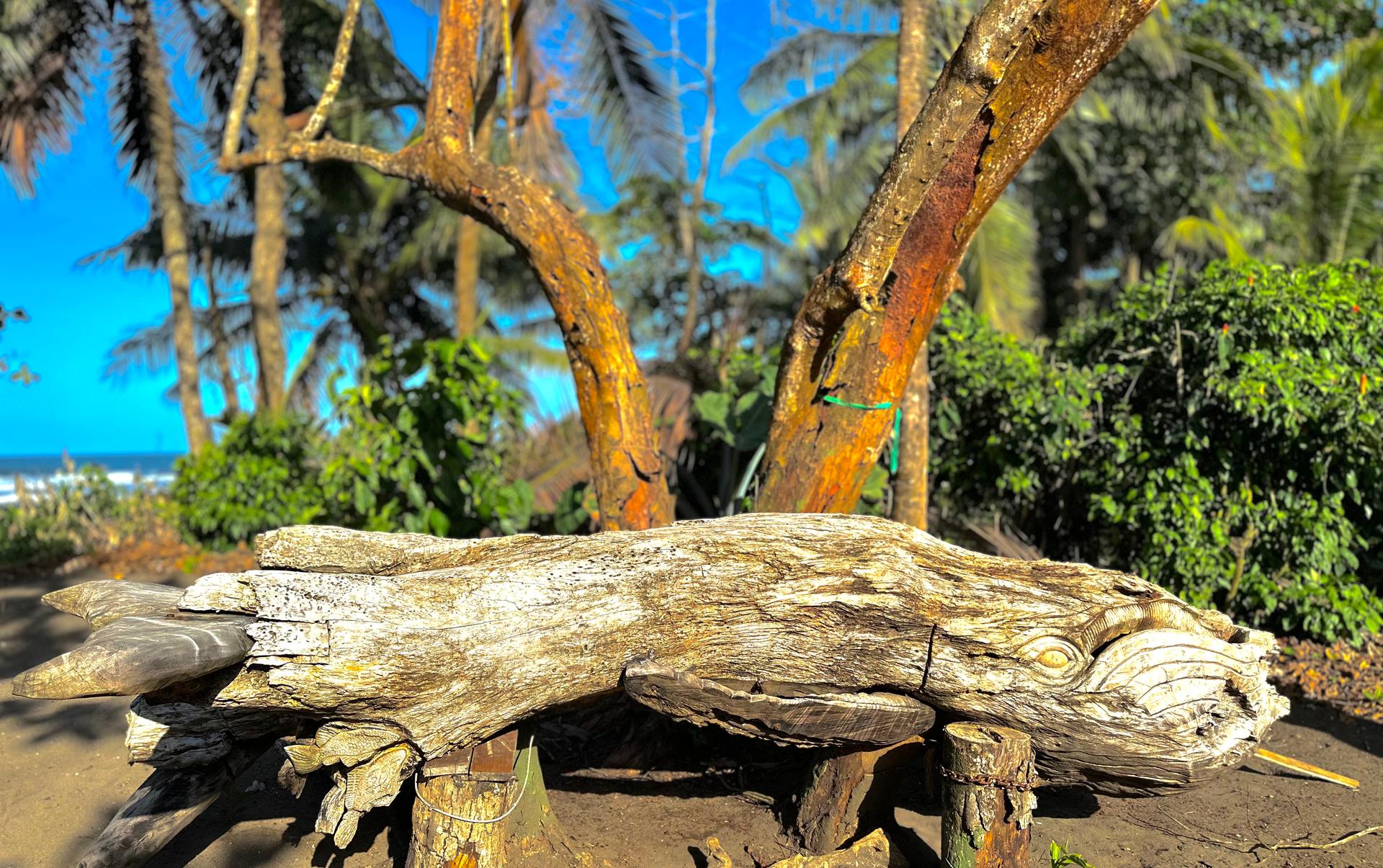 Nature tour through Tortuguero national park at sunrise