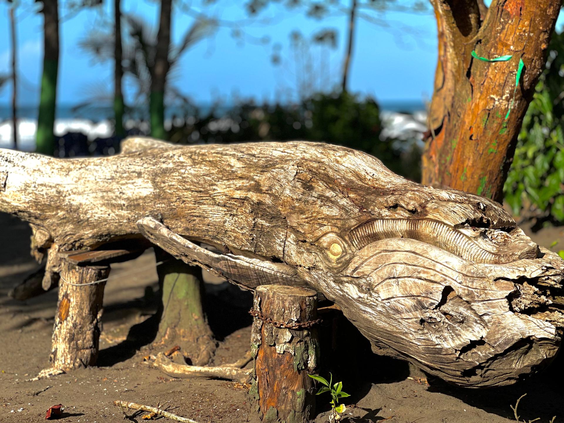 National park tour — exploring Tortuguero by boat