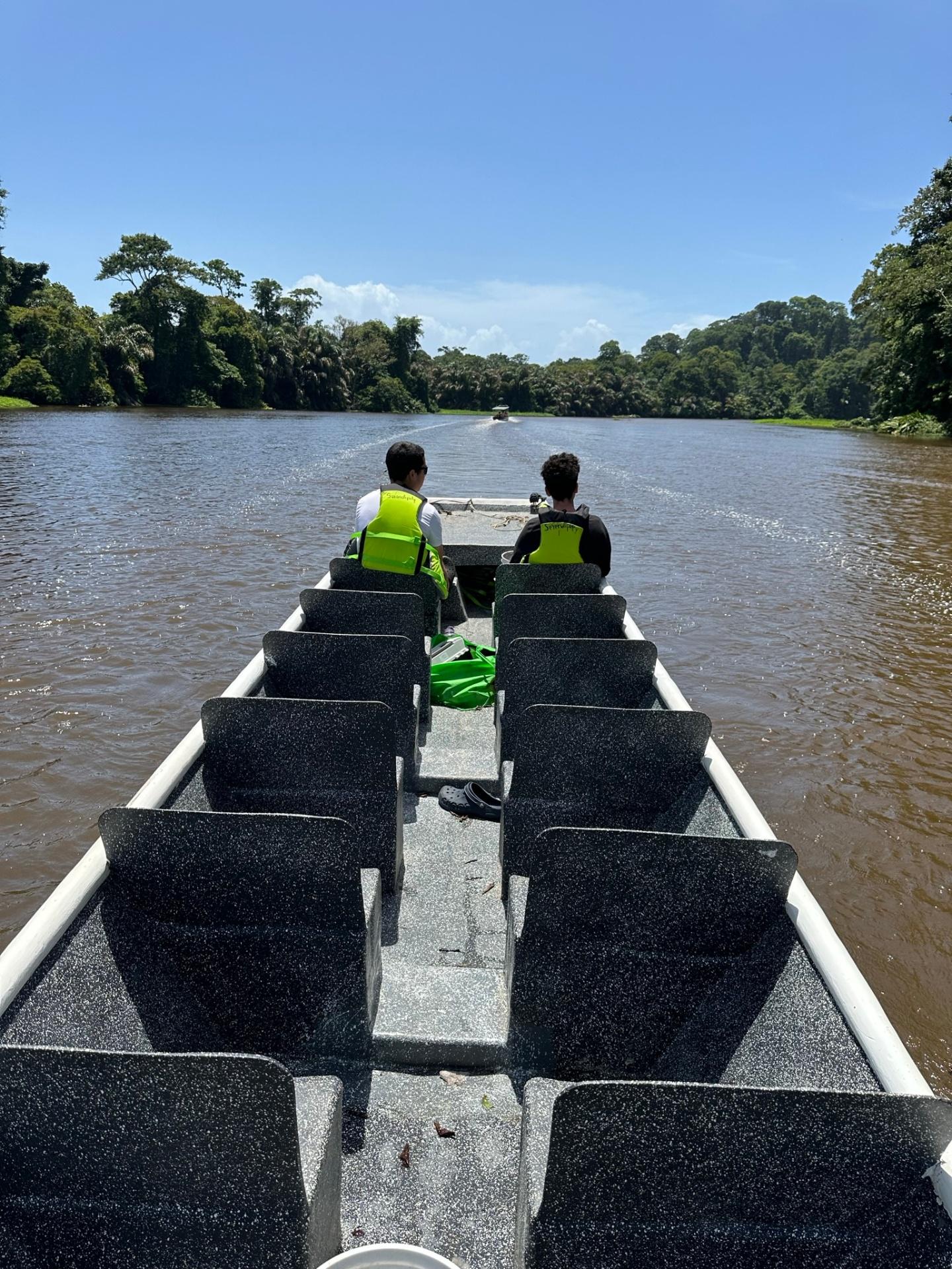 Boat tour cruising through the jungle canals of Tortuguero