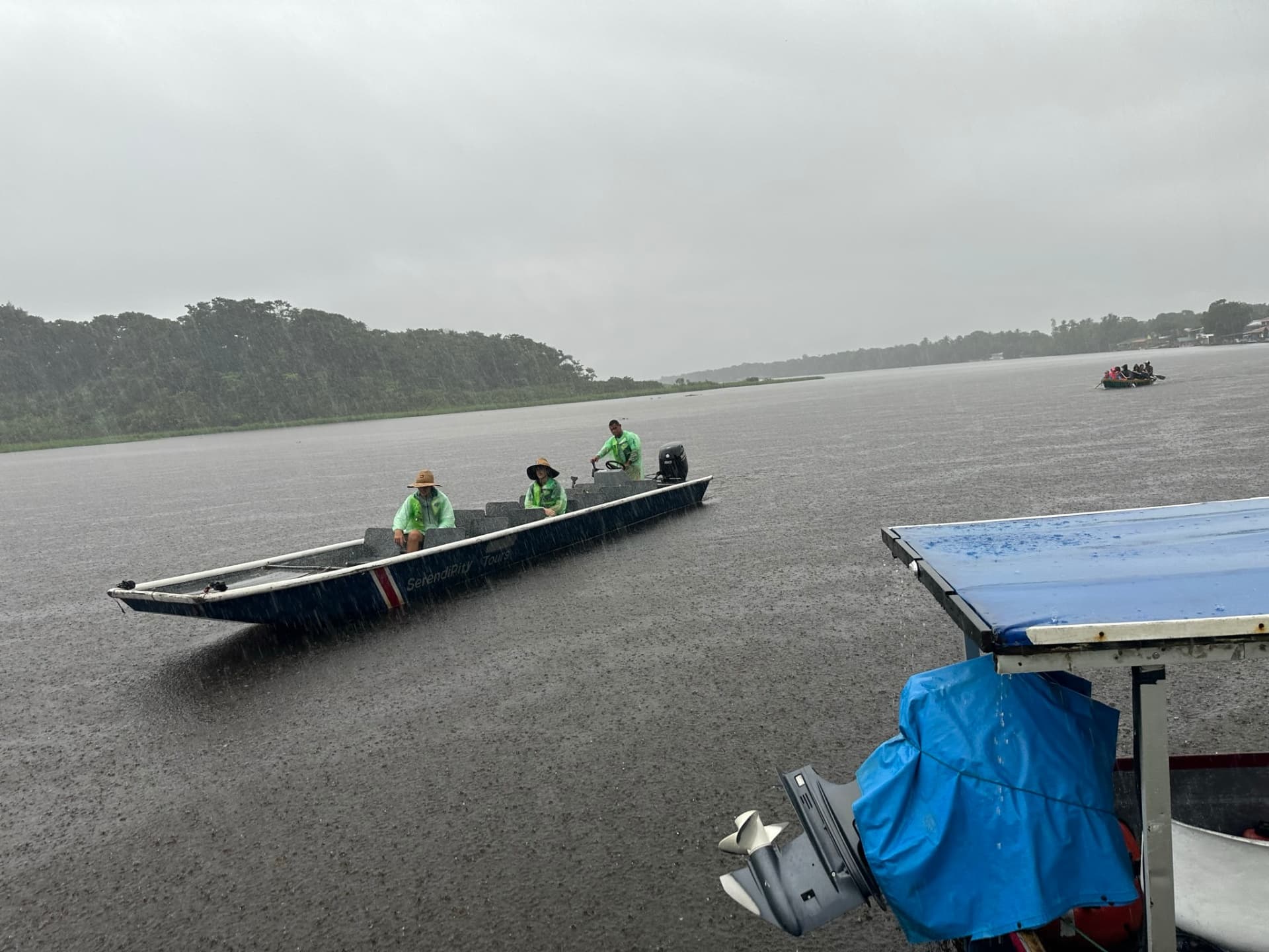 Combo Boat tour,Palma,Tucan trail and Hill
