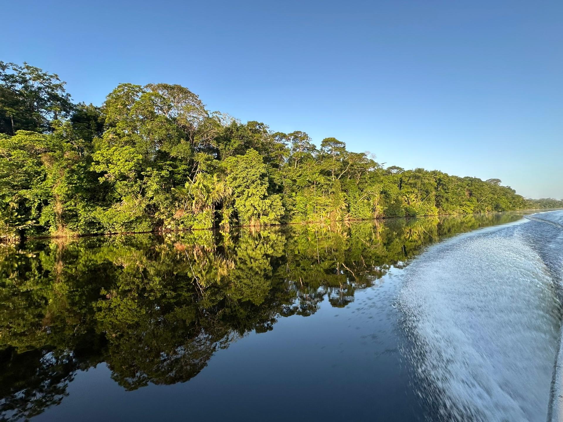 Stunning Tortuguero canal with lush jungle reflections