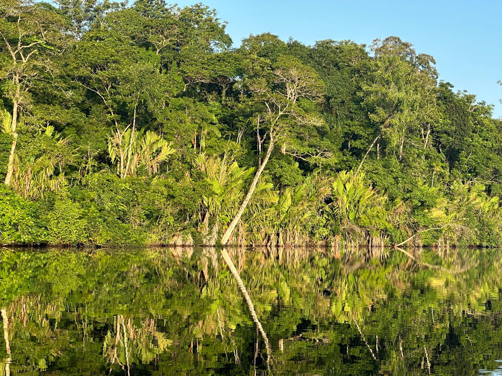 Combo Boat tour,Palma,Tucan trail and Hill — photo 2
