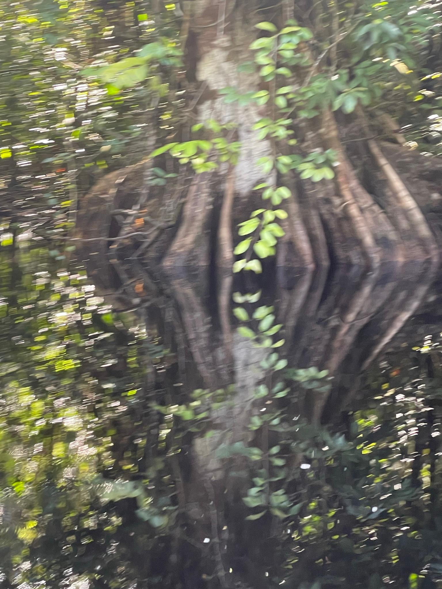 Boat Tour national park — photo 2
