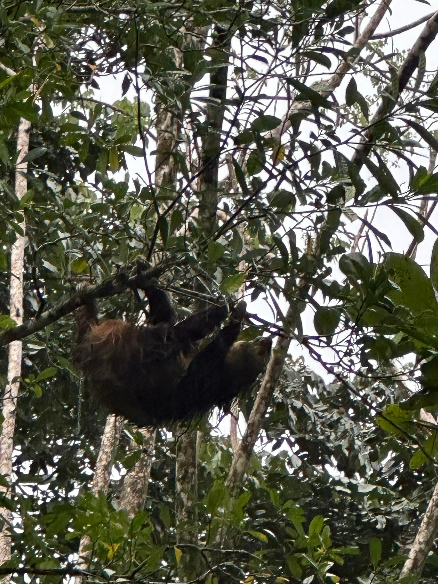 Bird Watching, By Boat Tour