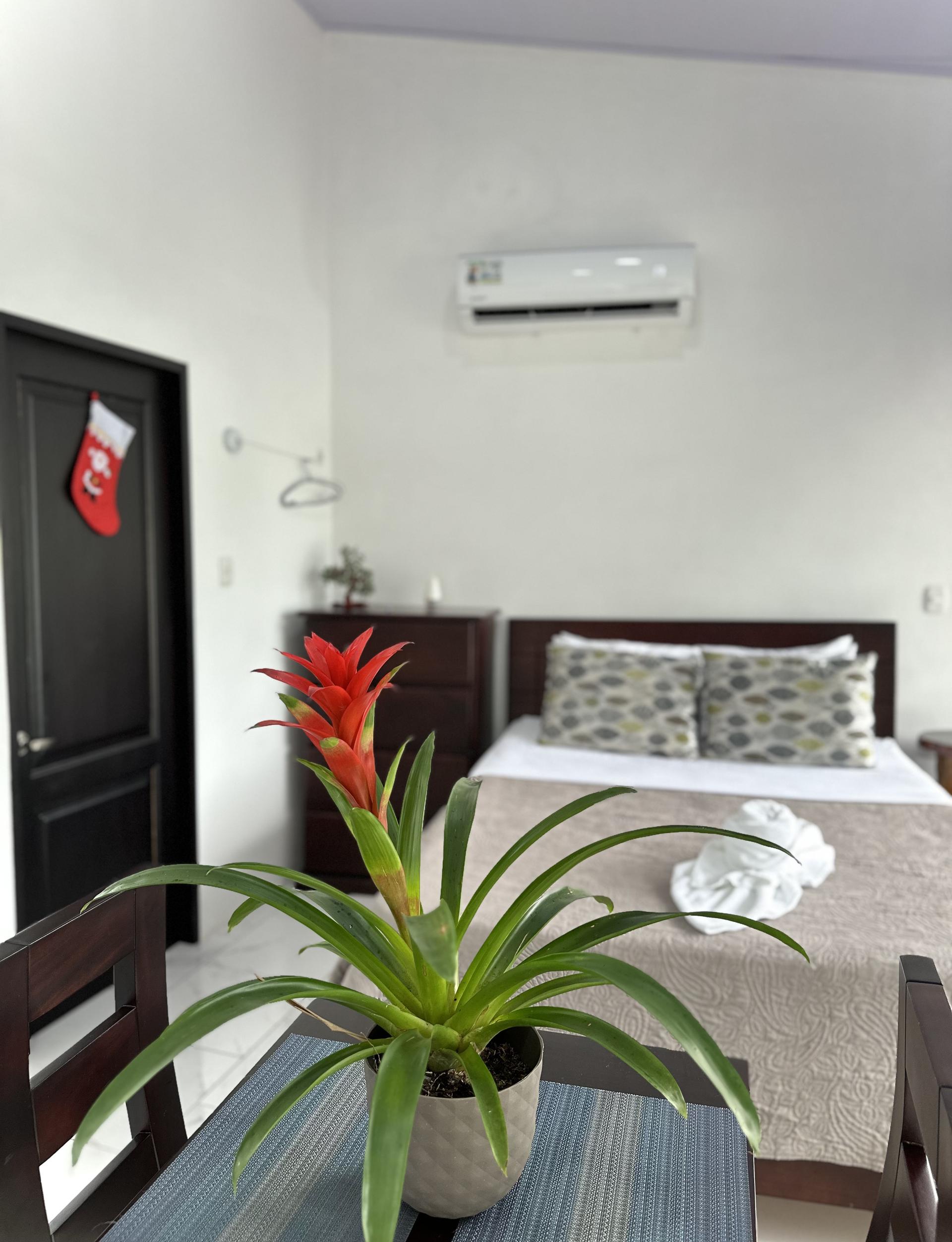Tortuguero Experience: 3 Nights + 5 Tours — photo 3