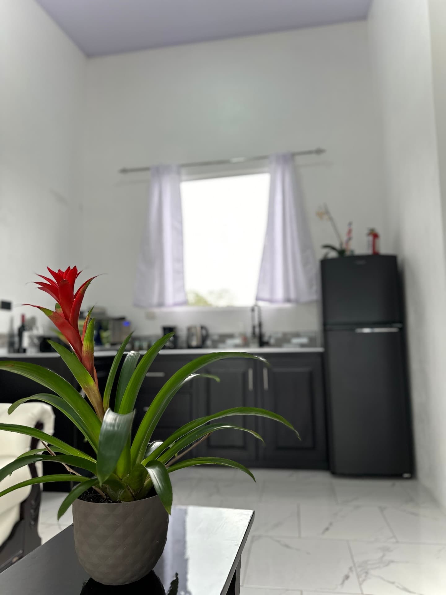 Premium Room — Ground Floor photo 4