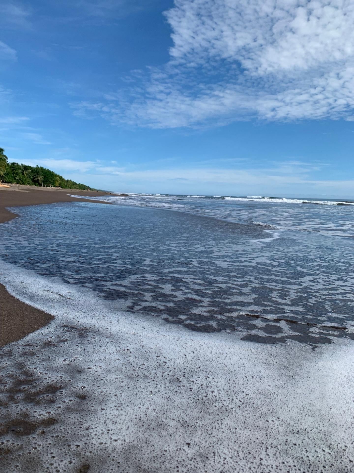 Foamy Caribbean waves on Tortuguero volcanic black sand beach