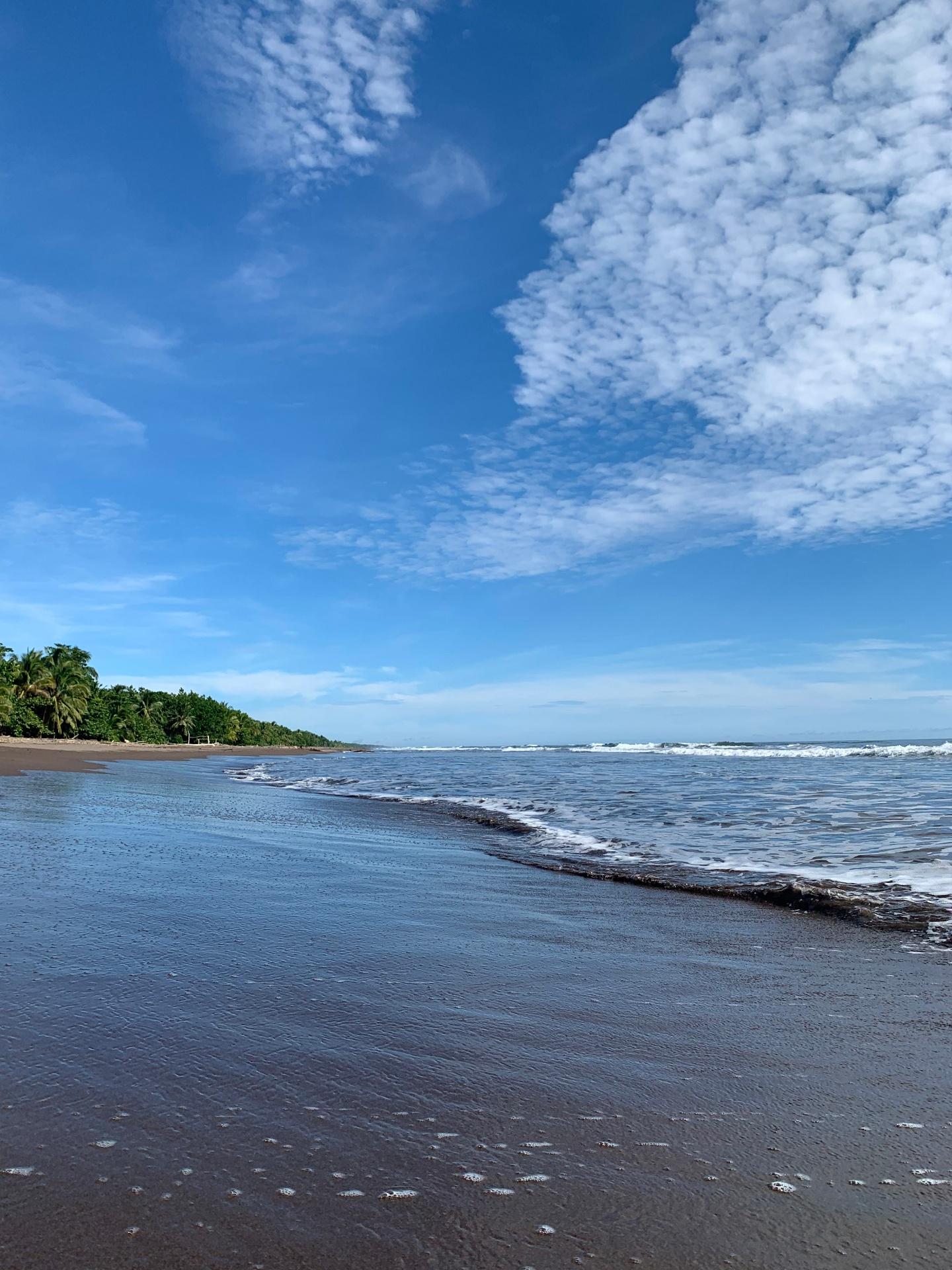 Calm black sand shoreline with soft waves on Tortuguero Caribbean coast