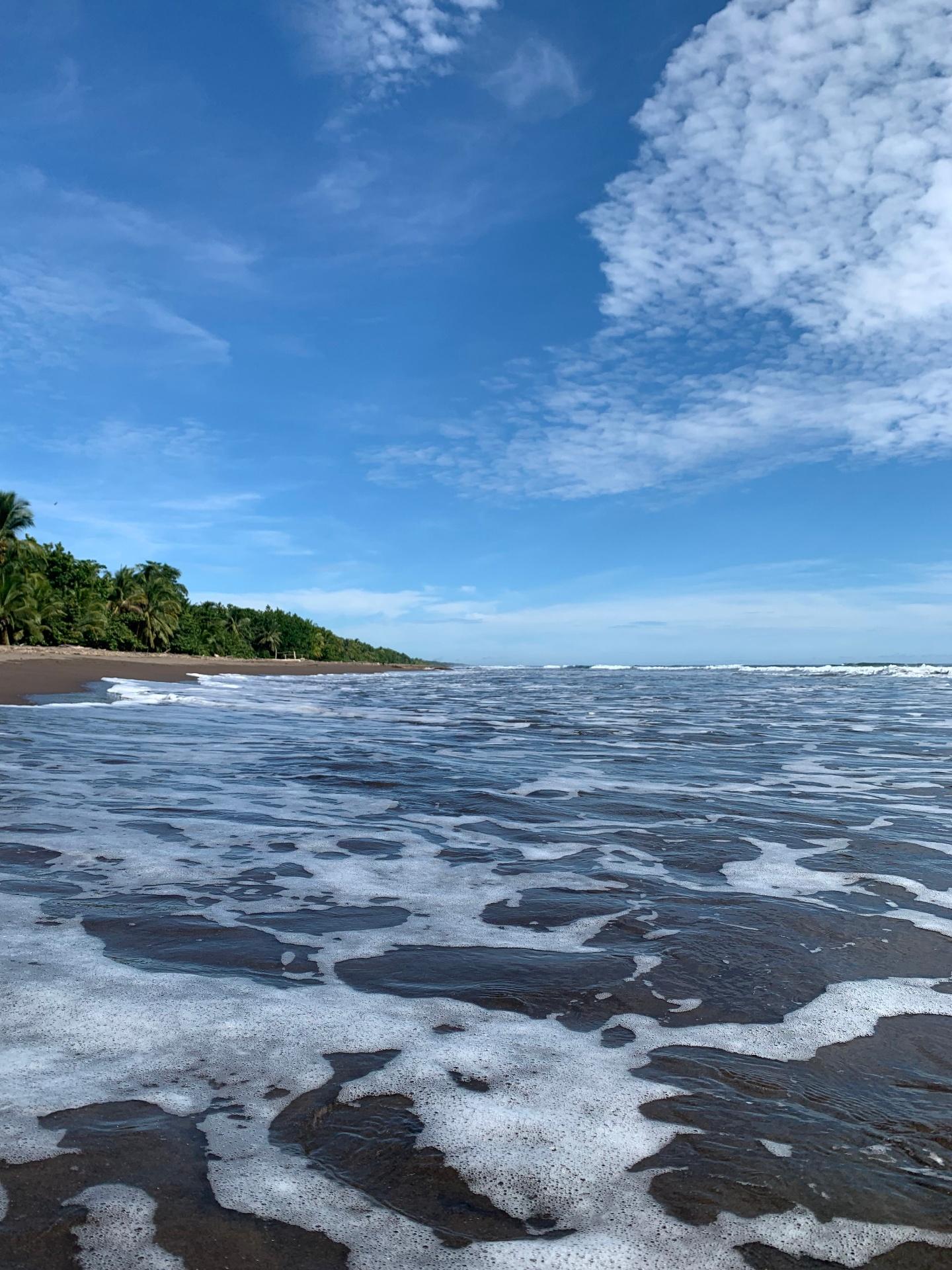 Caribbean waves washing onto Tortuguero black sand beach