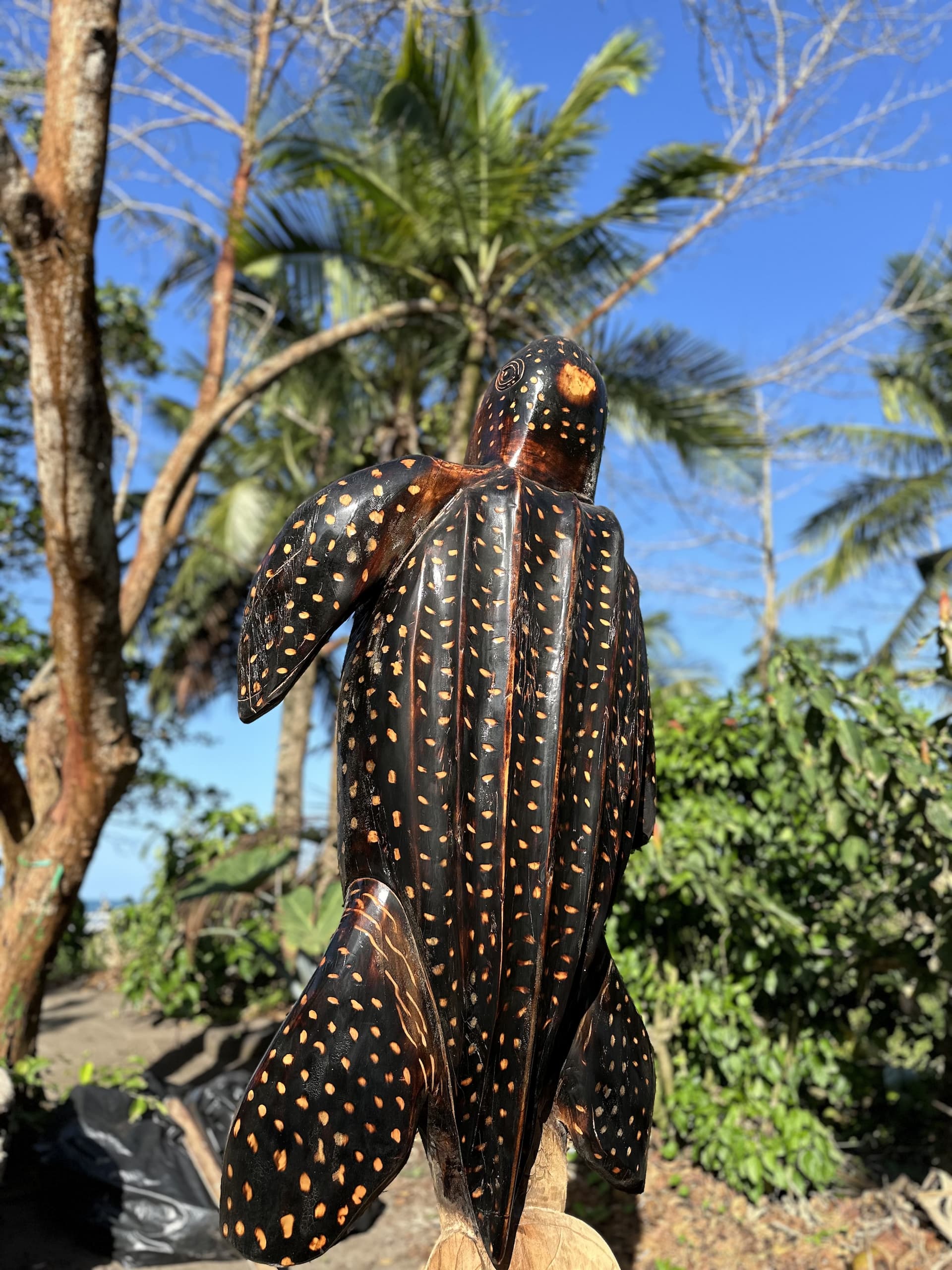 How to Get to Tortuguero: The Complete Guide